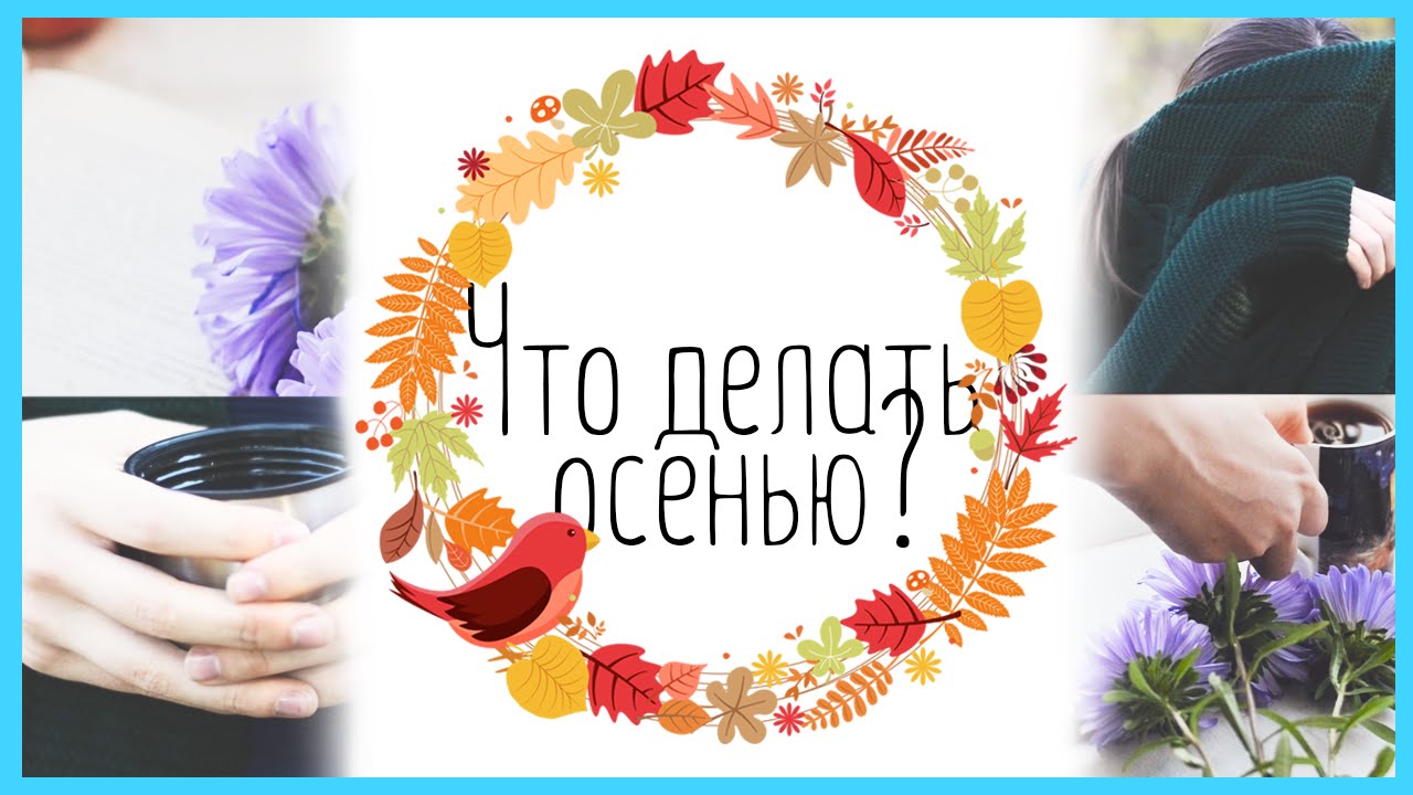 Что нужно сделать осенью новейшие фото Что нужно сделать осенью новые фото