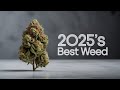 Top 5 Strains That DEFINED 2025 For Me(Must-Try!)