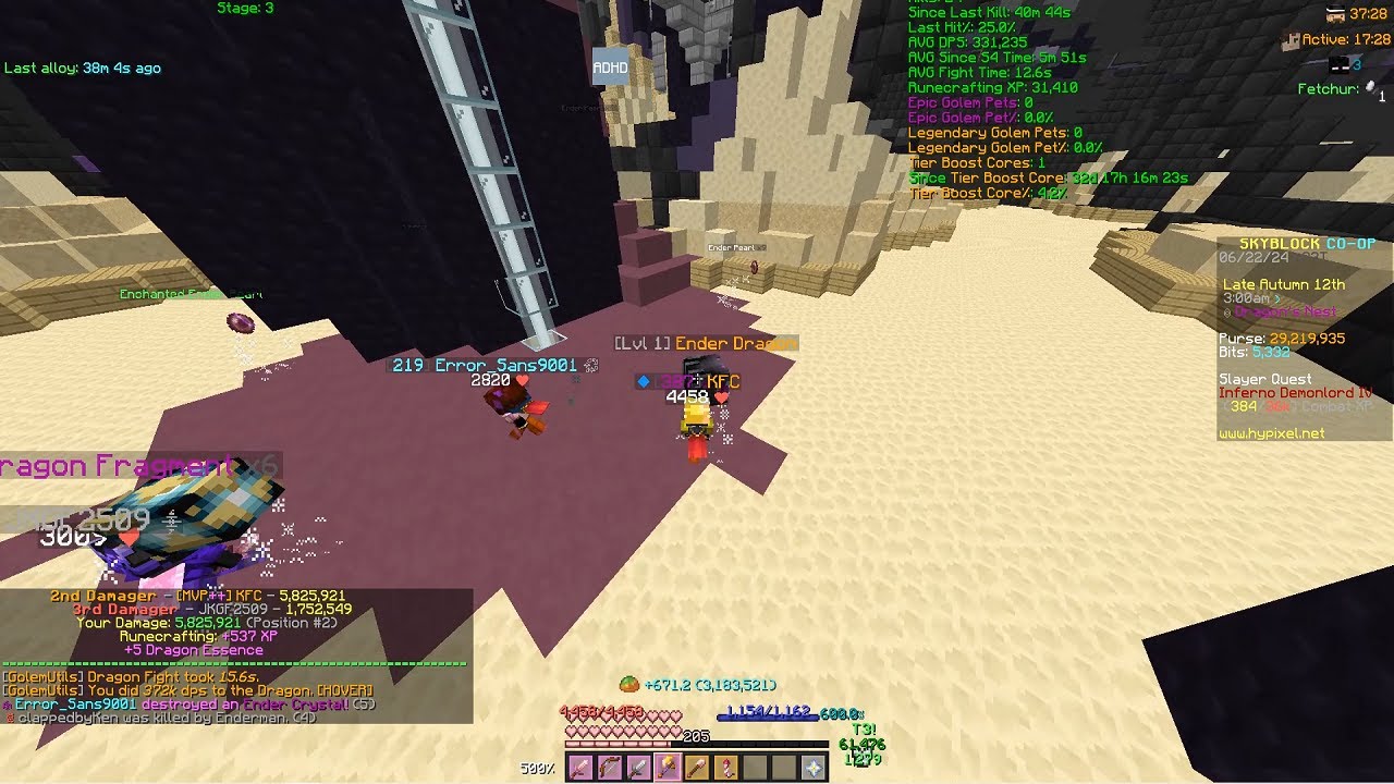 4th leg edrag pet | Hypixel Skyblock - YouTube