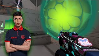 nAts Viper A defense Setup on ICEBOX Wealth