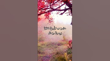 سورة آل عمران - قل أؤنبئكم بخير من ذلكم للذين اتقوا عند ربهم جنات تجري من تحتها الأنهار خالدين فيها