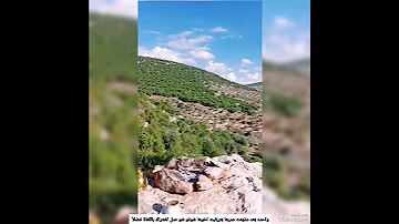 بنت ربت اخوها شوفو شو عمل اشتراك بالقناة فضلا اكسبلور ترند 