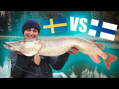 Video: Fiskpaj Från Finland