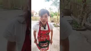 Peach branches and parallel sentences