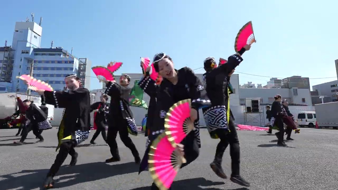 TEAM SAKURA 審査演舞 第29回ヤートセ秋田祭 2026年6月28日(日) - YouTube