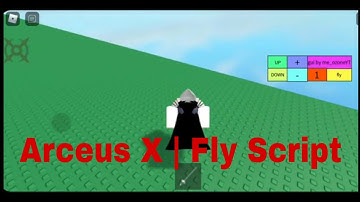 Arceus X | Fly Script