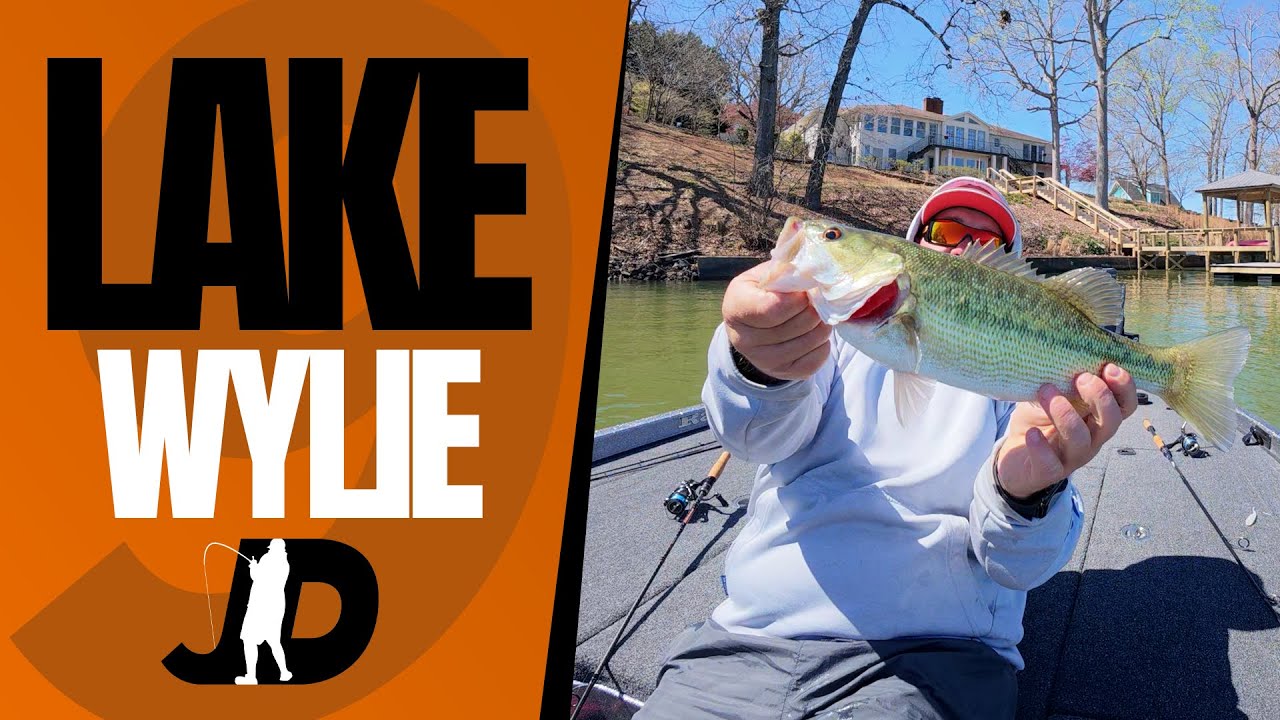 I like this place! – Lake Wylie Bass Fishing
