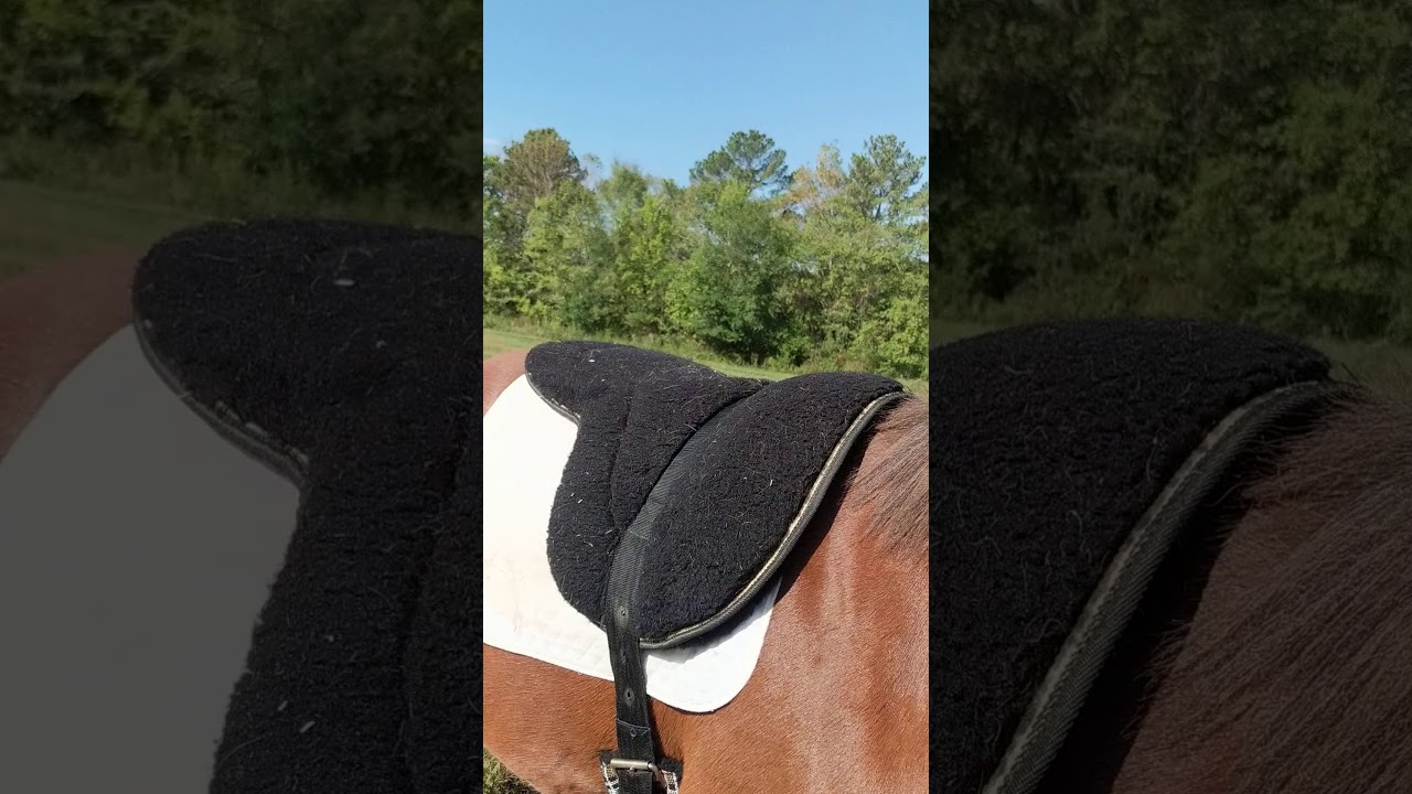 First Bareback Pad