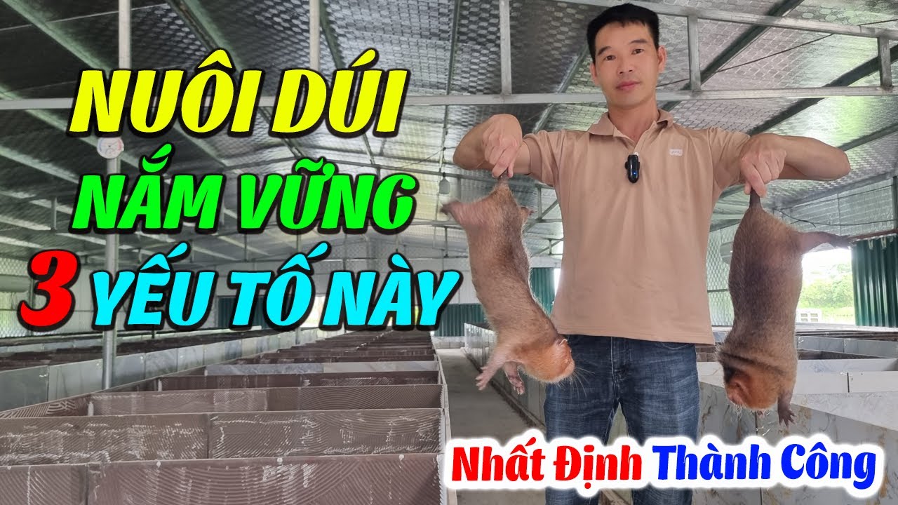 Muốn Chăn Nuôi Dúi Nhất Định Phải Biết Rõ 3 Yếu Này Trong Lòng Bàn Tay | Nuôi Dúi Làm Giàu