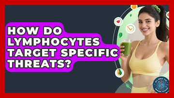 How Do Lymphocytes Target Specific Threats? - All About the Immune System