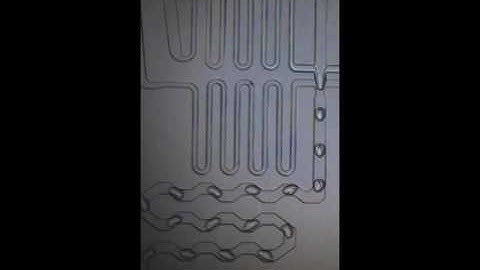 DropSeq: Demonstration