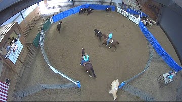 Big Sky Ranch Sorting Saddle Series #4 - #9 HC SORT - Round #1 - Ride #45