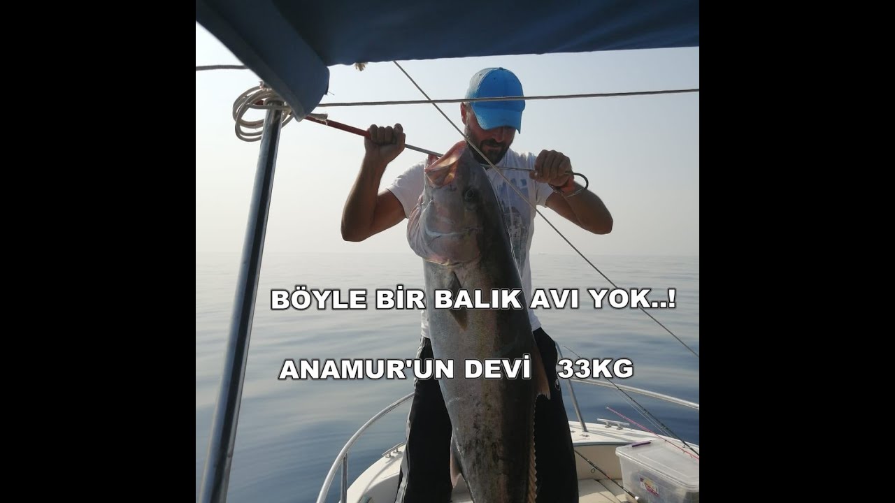 Anamur Mercan ve Rekor Kuzu Avı / Record Amberjack and red sea bream in Anamur Turkey