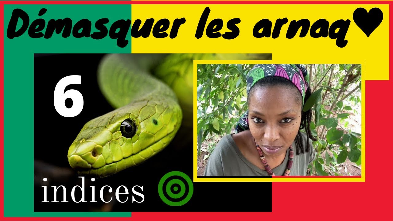 LES ROOTS ÀU BÉNIN 🇧🇯 - DÉMASQUER LES ARNAQ❤️