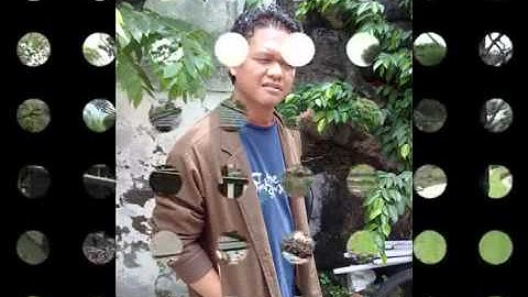 Caffeine - Bayangkan