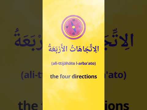 ALL the Arabic Basics You Need - Improve your Arabic #learnarab