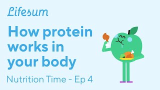 How protein works on your body | Nutrition Time - EP4 | Lifesum