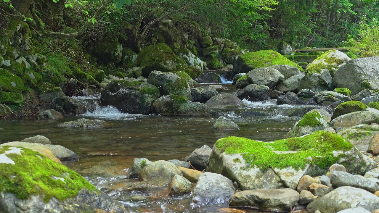 【自然の音】心を癒す川のせせらぎ リラックスのための川の音【3時間】 - YouTube