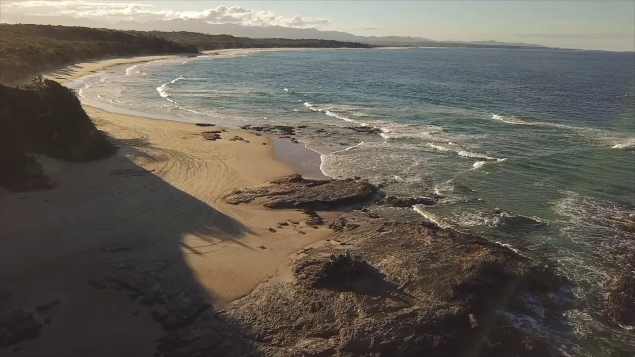 Dog Walkers Convention YouTube