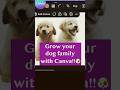 Grow Your Dog Family with Canva 🐶