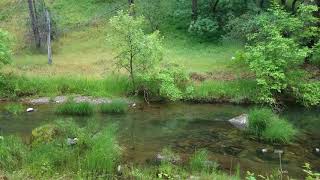 5 Acre parcel of property for sale in Grass Valley California, in the Lodestar Community