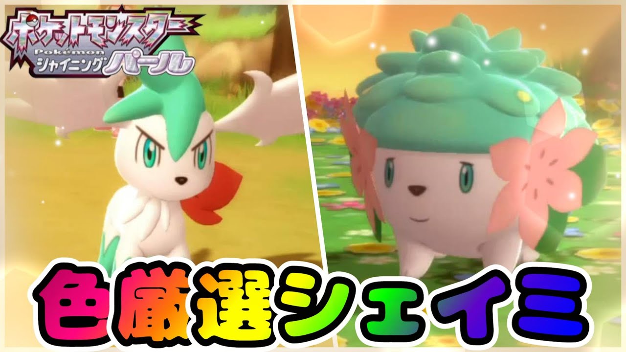 ポケモンBDSP】色厳選かんしゃポケモンシェイミ♡ - YouTube