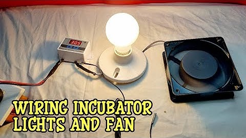Wiring Incubator Light and Fan with Temperature Controller | Local Electrician
