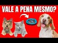 CAMAS PARA CACHORRO PEQUENO PORTE? CAMAS PARA CACHORROS?