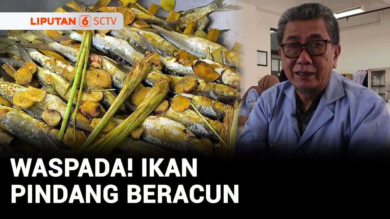 Buser Investigasi: Awas! Ikan Pindang Bandeng Beracun Beredar | Liputan 6