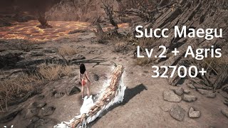 전승 매구 제피로스 Lv.2+Agris 32700+ | Succession Maegu Zephyros Castle 5Bosses + 3Knights