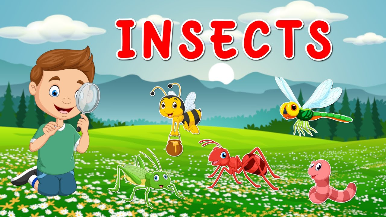 Insects for Kids 🐞🦋🐜 | Learn Insect Names and Sounds | Educational Video for Children