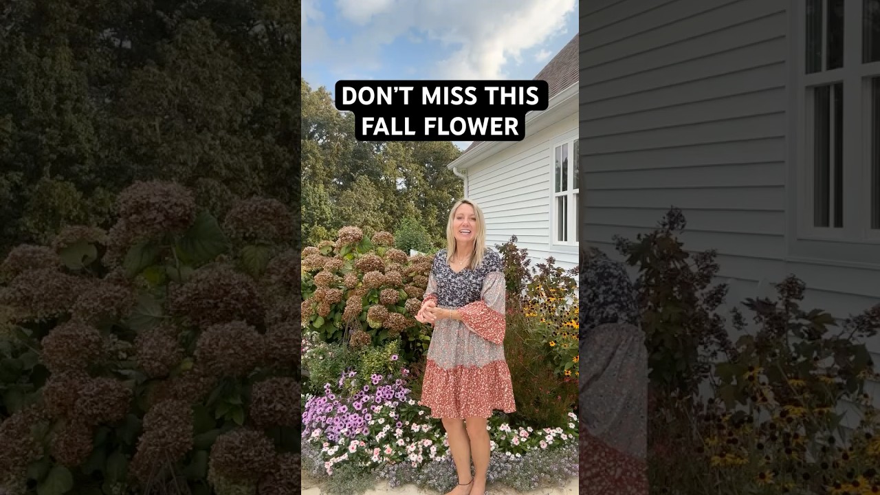 Don't Miss This Fall Flower! 