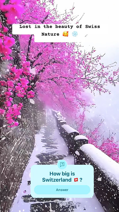 I’m inloved with you Swiss 🇨🇭#shortvideo #travel #snowflakes #nature #trending #youtubeshorts