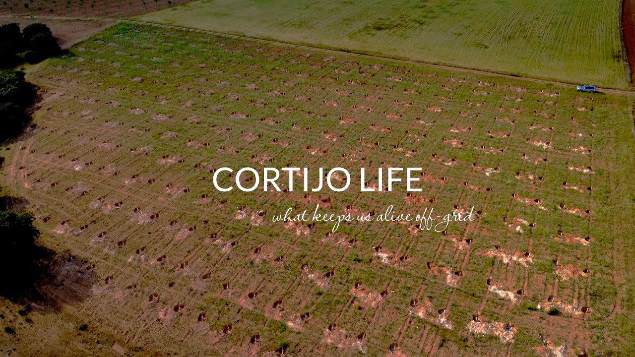 What we actually inherited when we bought this Spanish farmhouse (Cortijo Tour Part 1)