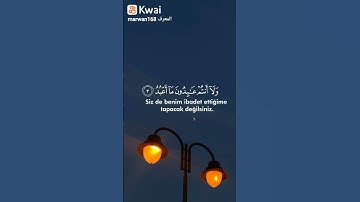 سورة الكافرون ...ارح سمعك ‹⇡ٴ⁽🌺💓₎⇣› تلاوات هادئه ​​​​​​​​​​​​​​​​​​​​​  ‹⇡ٴ⁽😍❤₎⇣›