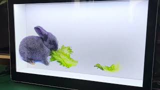 OLED transparent cabinet, all models with touch screen.