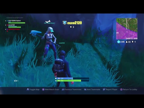 CATCHING DUBS | Fortnite BR