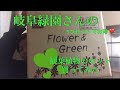 【観葉植物】岐阜緑園さんのお得なセットを購入しました