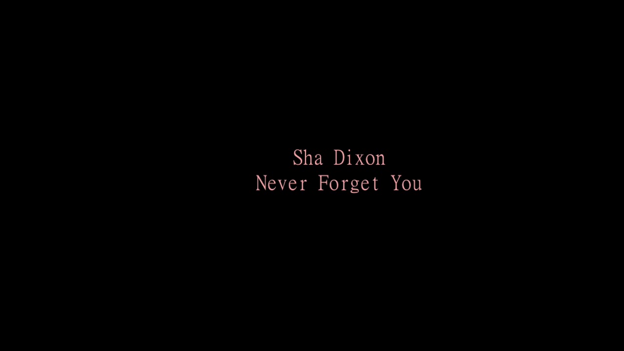 Sha Dixon - Never Forget You