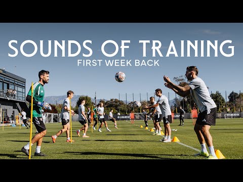 Sounds Of Training | First Week Back