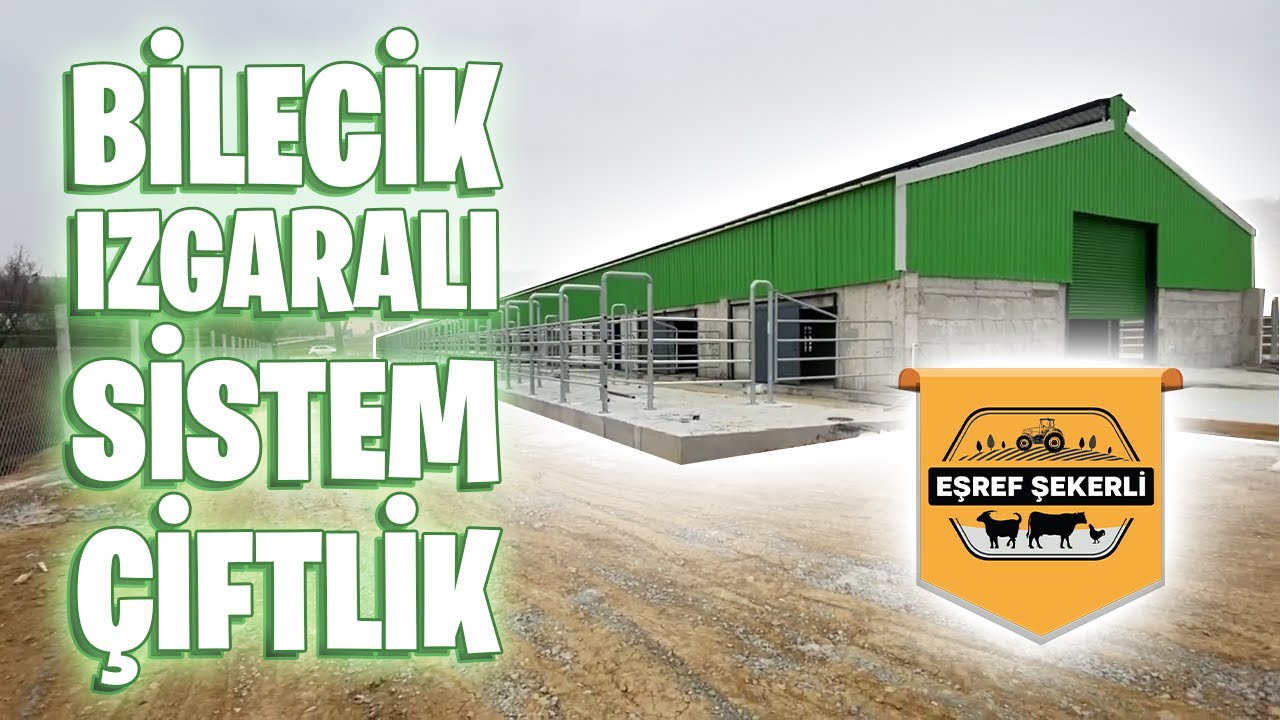 IZGARALI SİSTEM BESİ AHIRI BİLECİK PAZARYERİ #bilecik #pazaryeri #ızgaralısistem #besi #eşrefşekerli