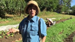 Wild Foodie forages with gourmet chef