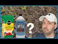 How and When to Fertilize Seedlings