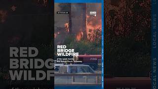 US Forest Service takes command of 60 acre Red Bridge Fire as residents evacuate