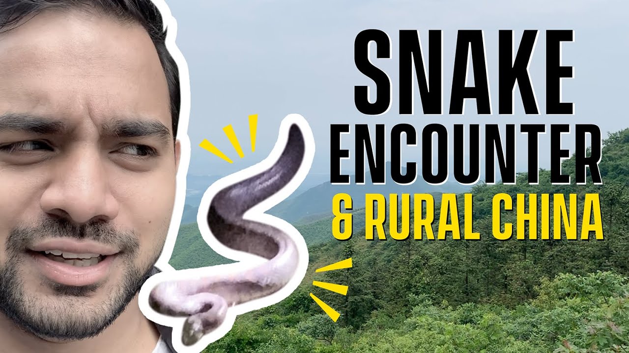 Rural China Vlog | Moganshan Discoveries