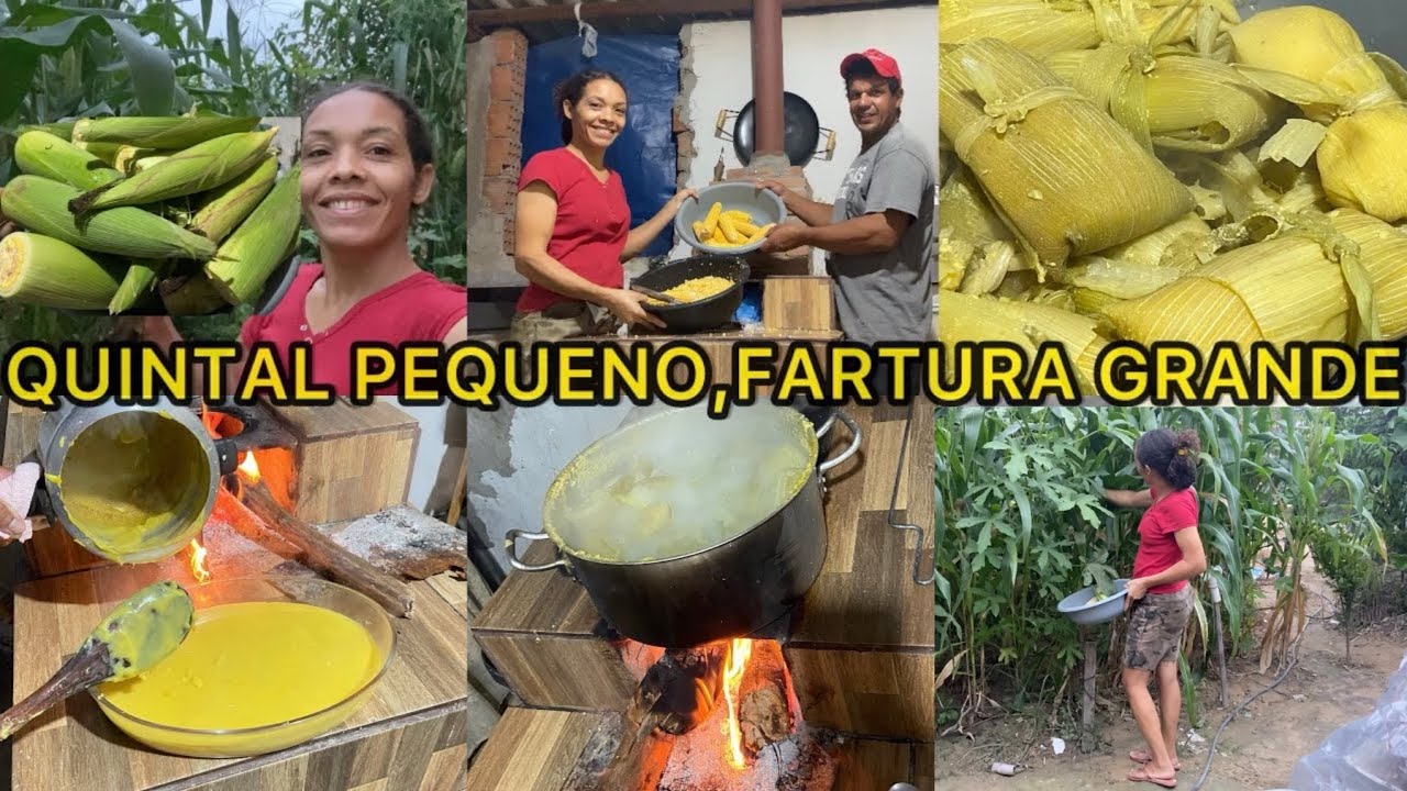 CHEGOU O GRANDE DIA A TÃO SONHADA COLHEITA/FIZEMOS PAMONHA ,MINGAU E MUITA RESENHA 