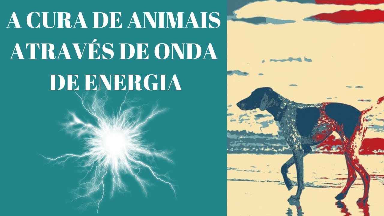 A CURA DE ANIMAIS ATRAVÉS DE ÁUDIO DE ONDA DE INFORMAÇÃO