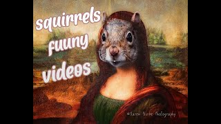 TOP FUNNY SQUIRREL VIDEOS will make you LAUGH !!