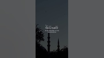 تلاوة تبكي القلب  |  #عبدالرحمن_مسعد #قران_كريم #الصلاة_على_النبي #sheikh  .reminder# #القرآن_الكريم