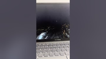 I found a new Morrowind infinite gold exploit